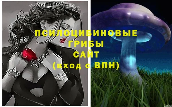 СК Баксан