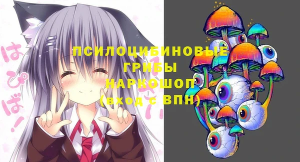 ПСИЛОЦИБИНОВЫЕ ГРИБЫ Балахна