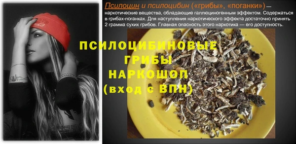 ПСИЛОЦИБИНОВЫЕ ГРИБЫ Балахна
