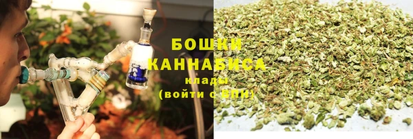 ПСИЛОЦИБИНОВЫЕ ГРИБЫ Балахна