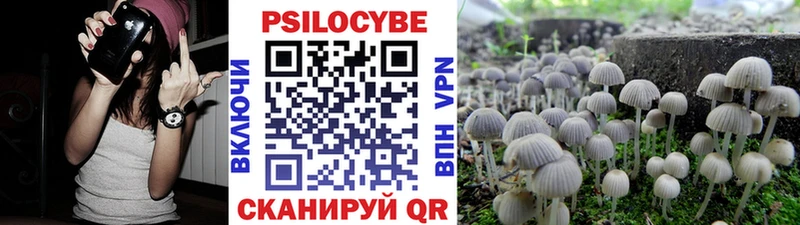 Псилоцибиновые грибы Cubensis  продажа наркотиков  маркетплейс телеграм  Казань 